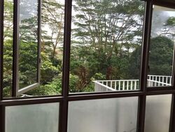 The Skywoods (D23), Condominium #575635191